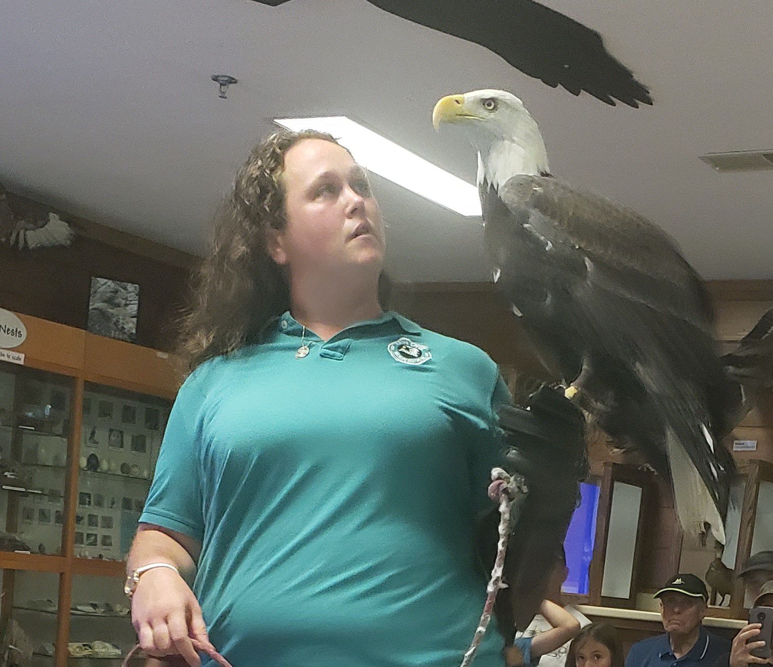 Hawk Creek Bald Eagle, Gryphon